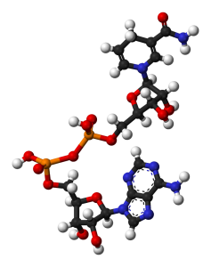 NADH Coenzym 1 Strukturformel